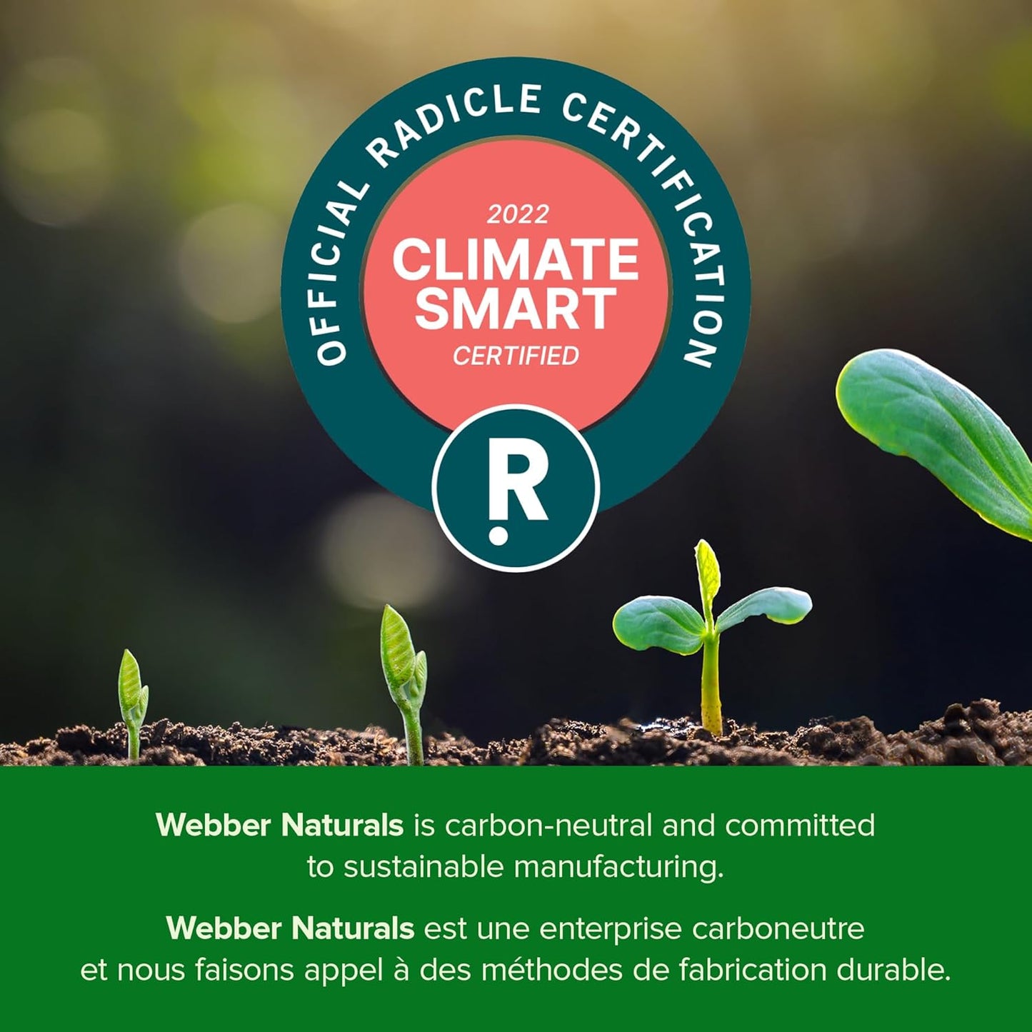 Collagen30 with Ceramides