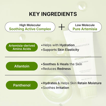 Artemisia Calming EX Water Cream